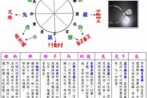 怎樣知道自己五行